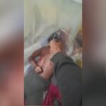 Traffickers accomplish sleeping competing