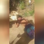 UHH IS THIS YOUR FIRST TIME CUTTING A HEAD OFF theYNC