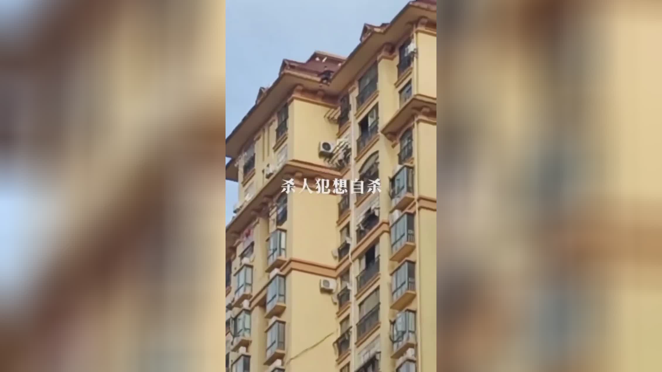 Wtf are suicide jumpers trying to collection guinness world records