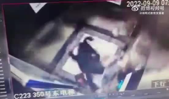 Lady and her dog in escalator