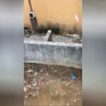 Female found dismembered in france