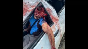 You may practically find inside his cranium 1 You may practically find inside his cranium