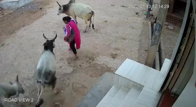 You remain in cow region now bitch