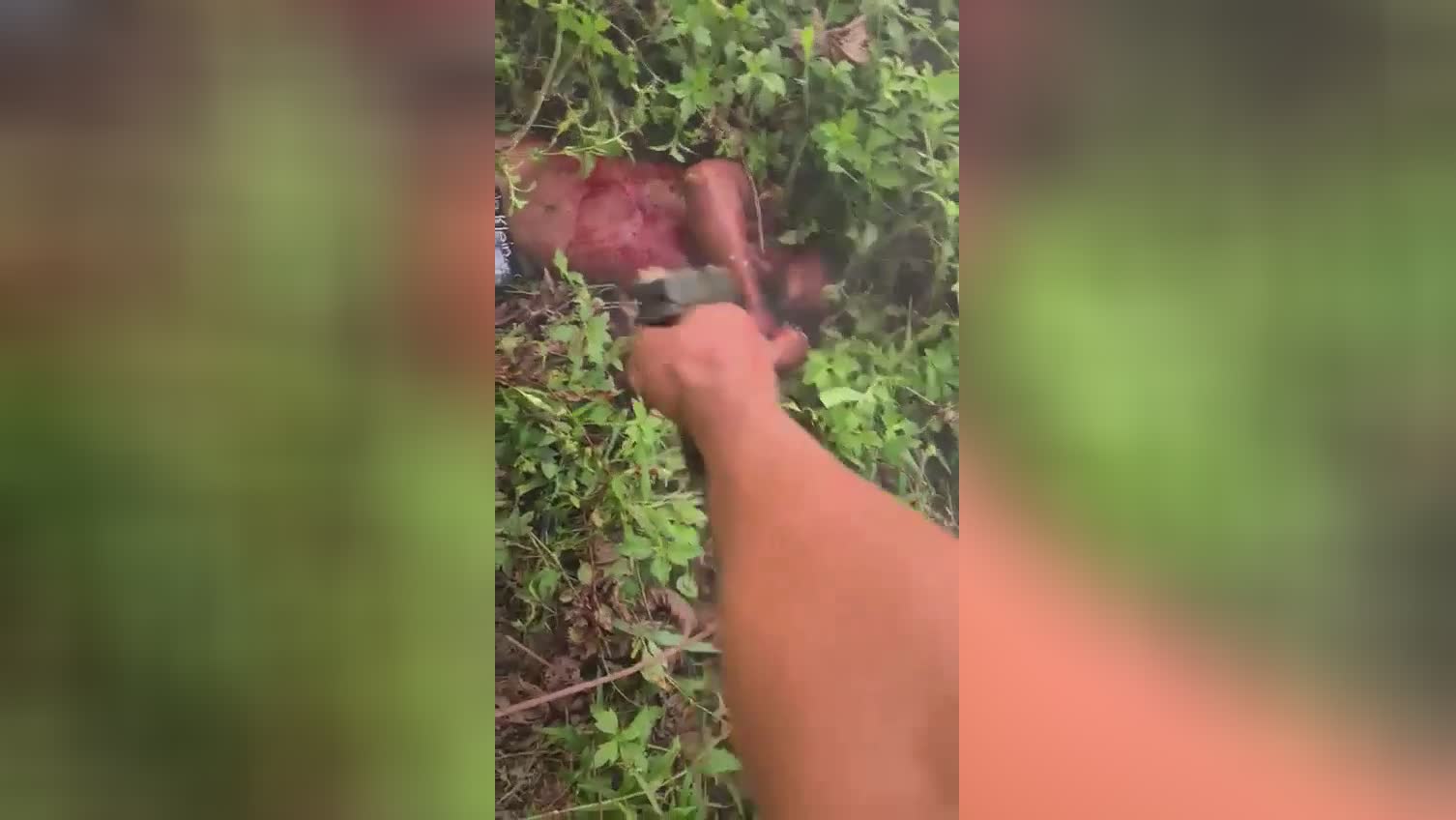 Thousand bullets for the foe