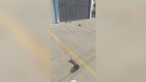 Because of a motorcyclist hitting a wall structure 1 Because of a motorcyclist hitting a wall structure