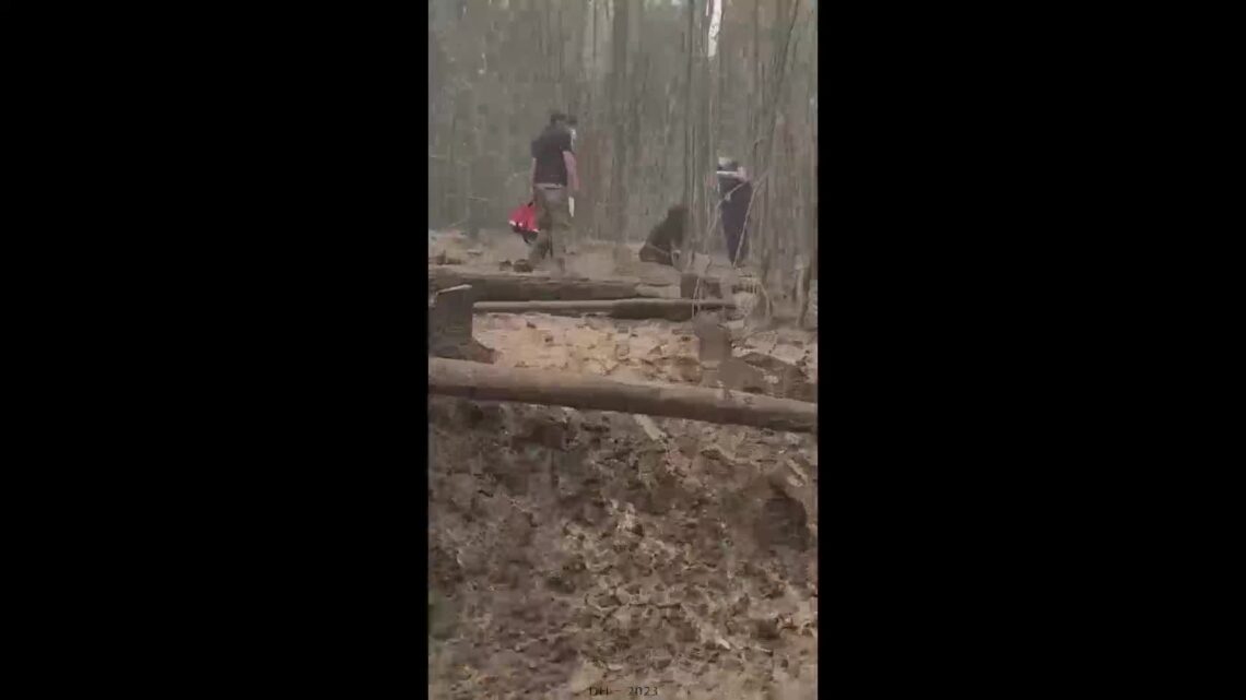 Burnt guy in a burnt rainforest