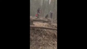 Burnt guy in a burnt rainforest 1 Burnt guy in a burnt rainforest