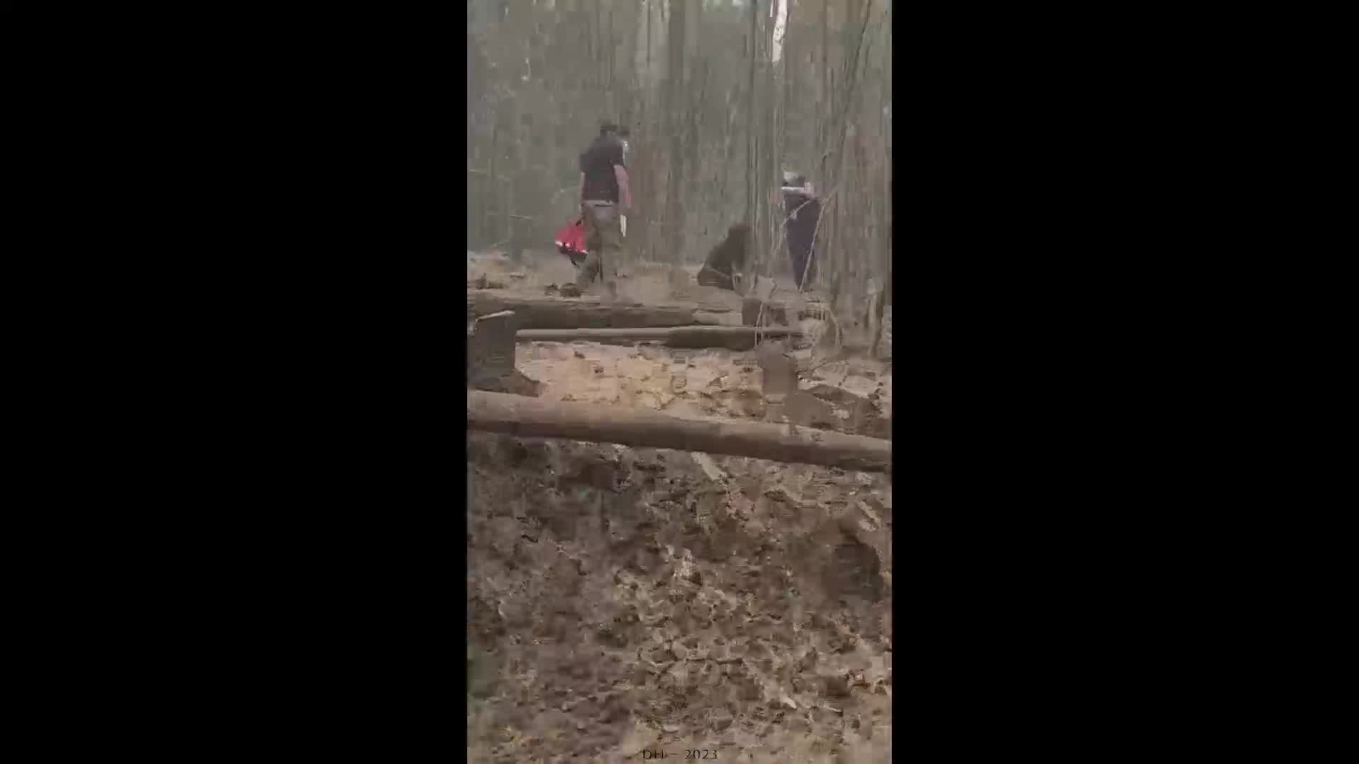 Burnt guy in a burnt rainforest