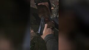 Butcher's holiday in favelas