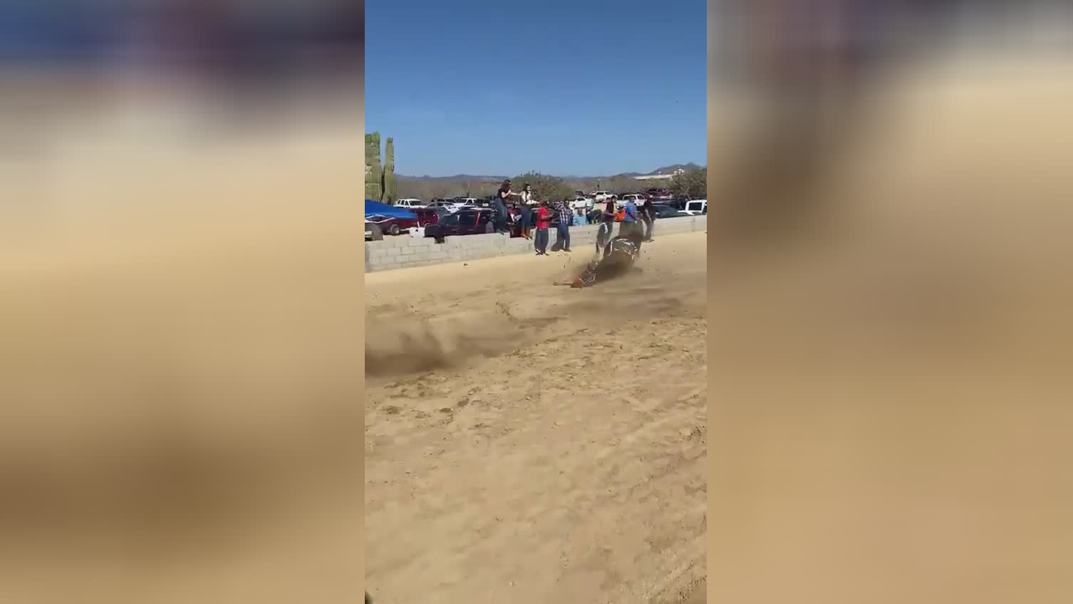 Damn equine dashing catastrophe