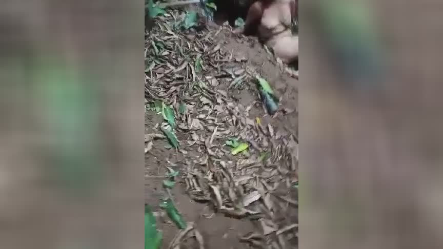 Dead woman found with her hands incorporated the rainforest