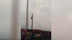 Lamebrain chasing after a pigeon french fries at that point drops to ground 1 Lamebrain chasing after a pigeon french fries at that point drops to ground