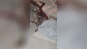 Recently launched from prison man shot through hit man