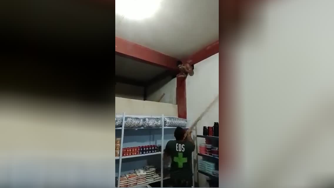 Oops home enemy gets in the inappropriate house