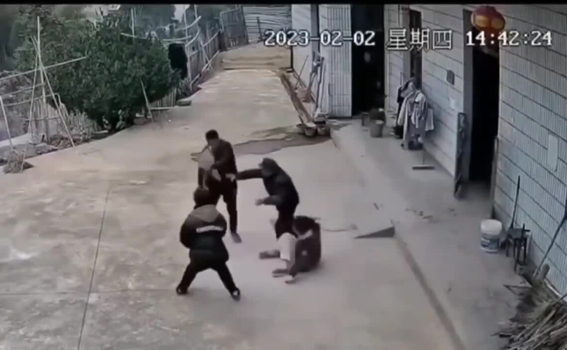 Old male killed by landscape hoe