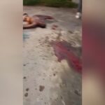 Just fifty percent of the male remains