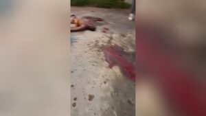 Just fifty percent of the male remains