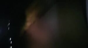 The bus chauffeur found the body of a hurt guy