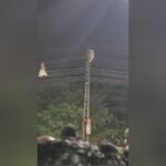 The dimwit went up the electric pole to acquire the kite