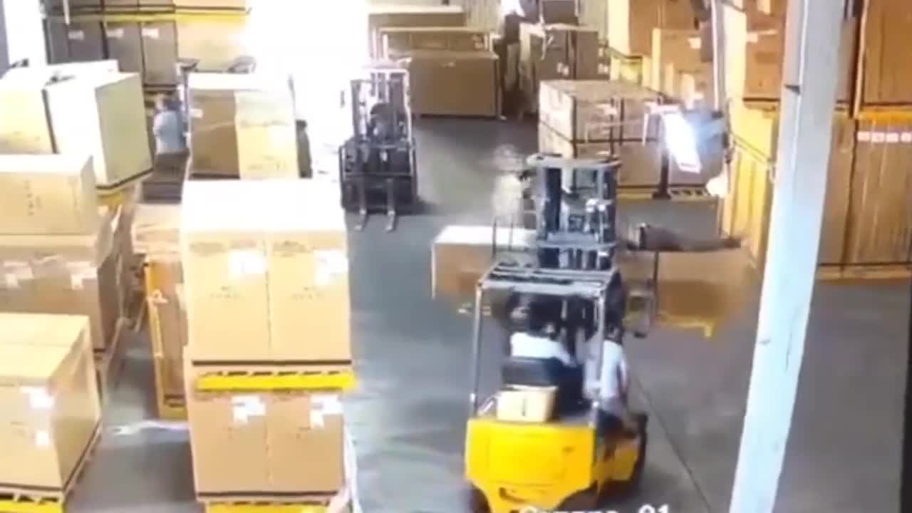 The perfect mix of donkey work