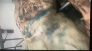 The sick idiot killed his daddy as well as sibling afttermath