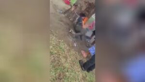 The burglar was not shed, only fearful