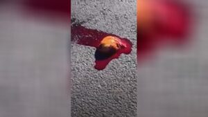 The lady crushed through the vehicle has actually perished