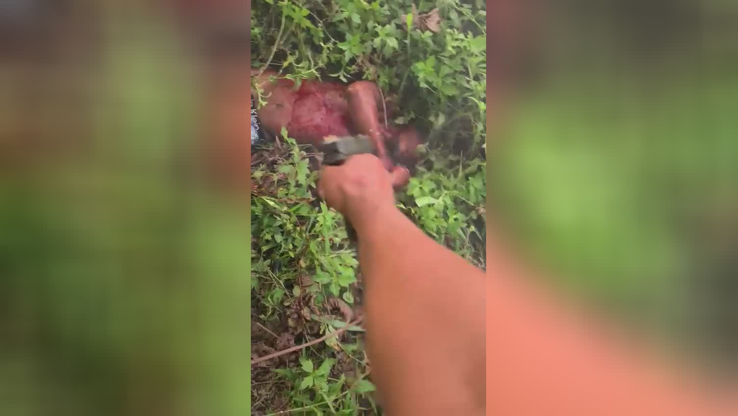 Traffickers devote vicious completion in brazilian jungle