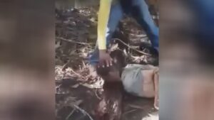 Pair of strokes of the knife and no head