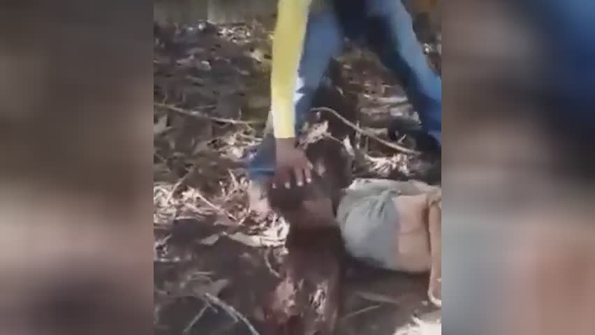 Pair of strokes of the knife and no head