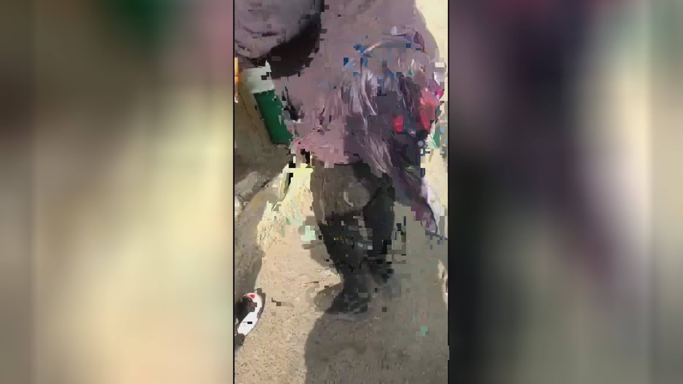 Girl dies of plunge injuries