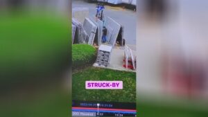 Job do not eliminate stupidness