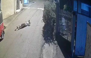 Shot In The Street By Hitman