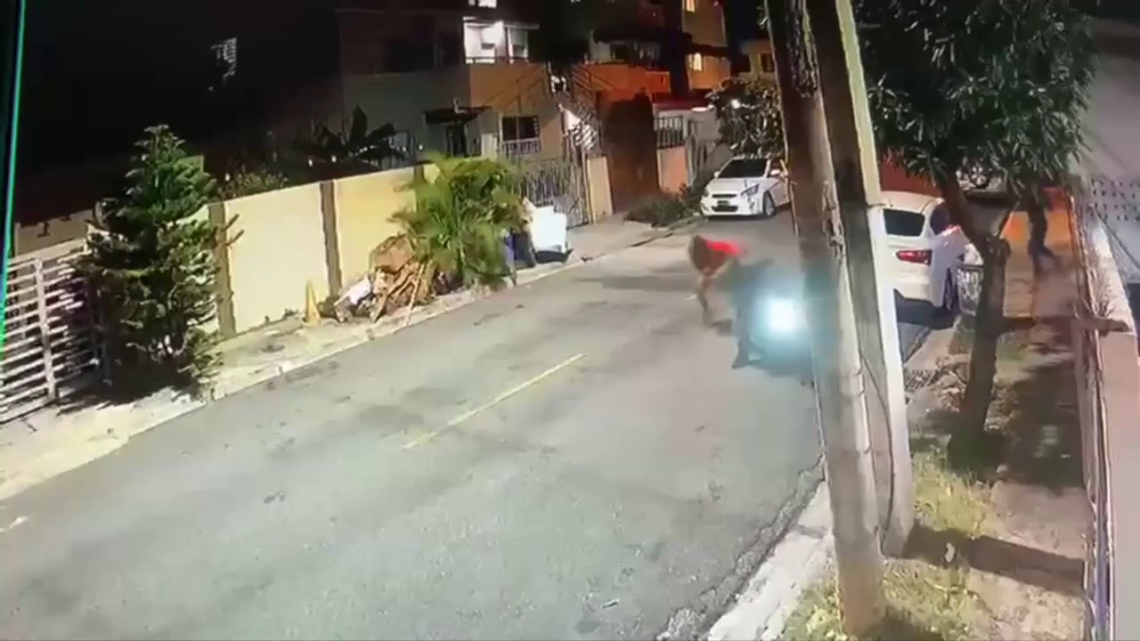 They Tried To Rob Dude & Paid The Price