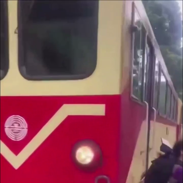 A Tourist Was Hit By A Train In A National Park In Taiwan