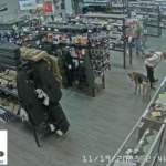 Woman Attempts To Steak A Canik Pistol From Truprep In Marietta, GA