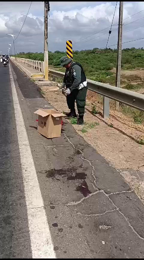 The Leg Of A Motorcyclist Involved In An Accident Was Found Many Meters From The Victim’s Body