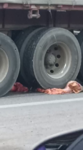 22 Year Old Woman TikTok Blogger Died In A Terrible Accident On A Motorcycle