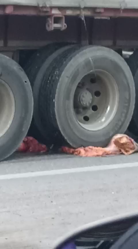 22 Year Old Woman TikTok Blogger Died In A Terrible Accident On A Motorcycle