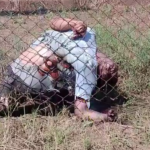 The Result Of A Prisoner's Escape Attempt From Granja Canadá Prison, Escuintla