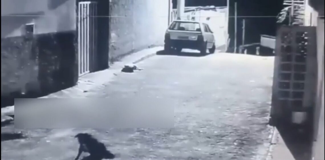 Man Is Shot Dead Upon Arriving At His Mother’s House In Caeté