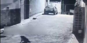 Man Is Shot Dead Upon Arriving At His Mother's House In Caeté 1 Man Is Shot Dead Upon Arriving At His Mother's House In Caeté