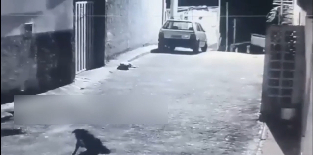 Man Is Shot Dead Upon Arriving At His Mother’s House In Caeté