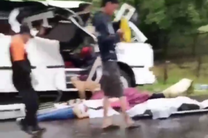 Four Dead After Tree Falls On Bus