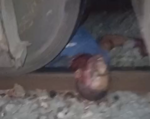 Young Man Dies After Being Struck By Train In Pirapemas On Wednesday Afternoon