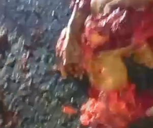 Drivers On The Road Reported The Presence Of A Dismembered Body At Kilometer 148 Of The Regional Center Highway