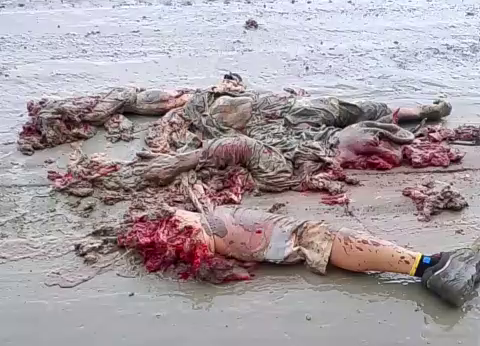 A Chinese Worker Is Crushed By A Truck Moving In Reverse. The Driver Has Been Arrested. Indonesia