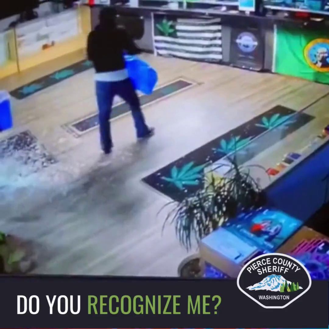Juveniles Ram Cannabis Store Doors Using Stolen Kia, Steal ATM. Pierce County, Washington