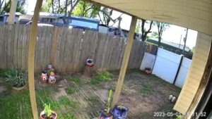 Amazon Driver Apprehends A Criminal Who Stole A Package