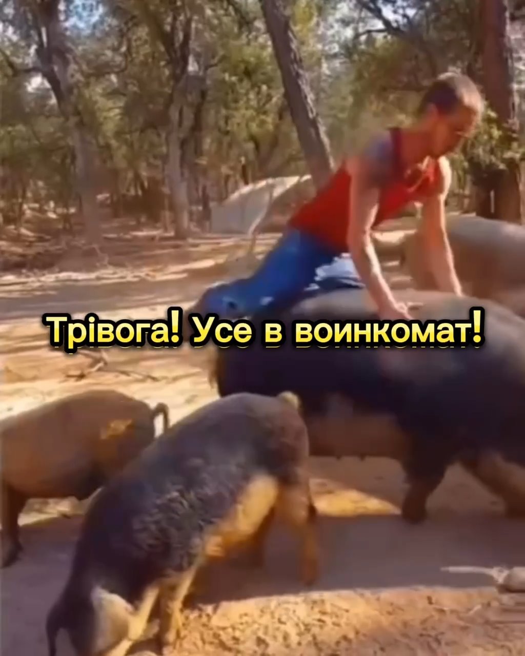 15 People Injured In Tavern Soshanguve Shooting